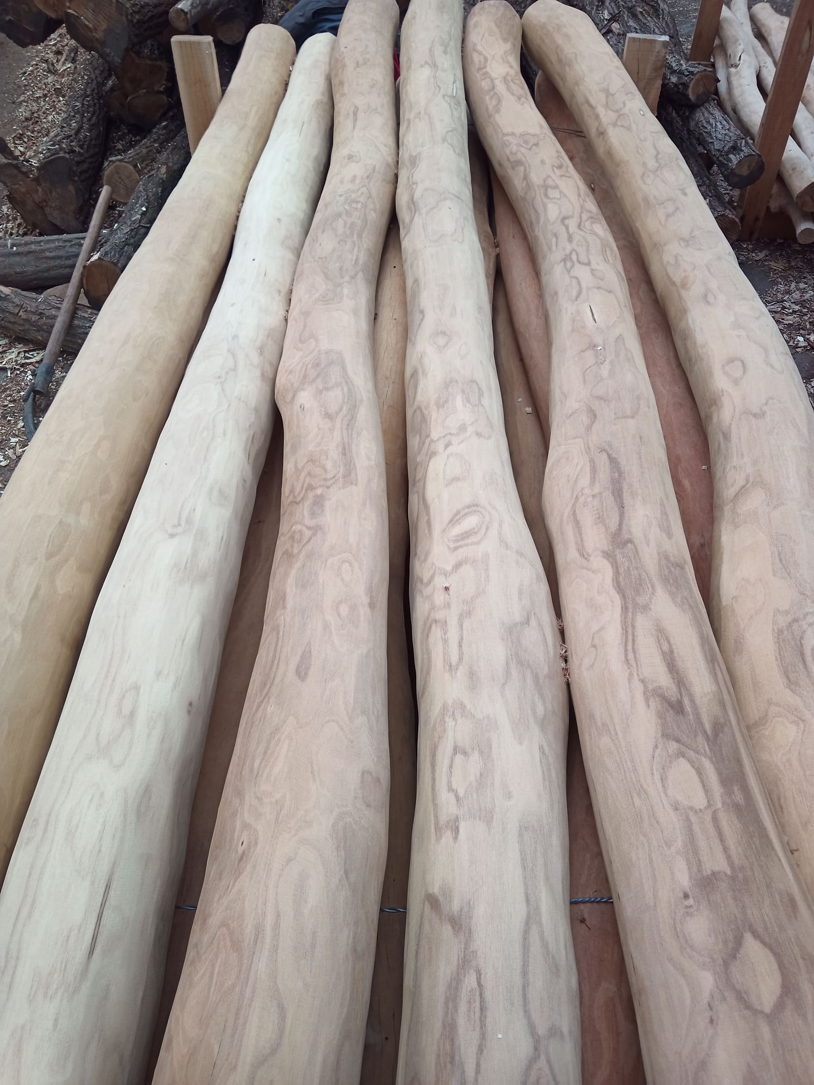 Black Locust Posts