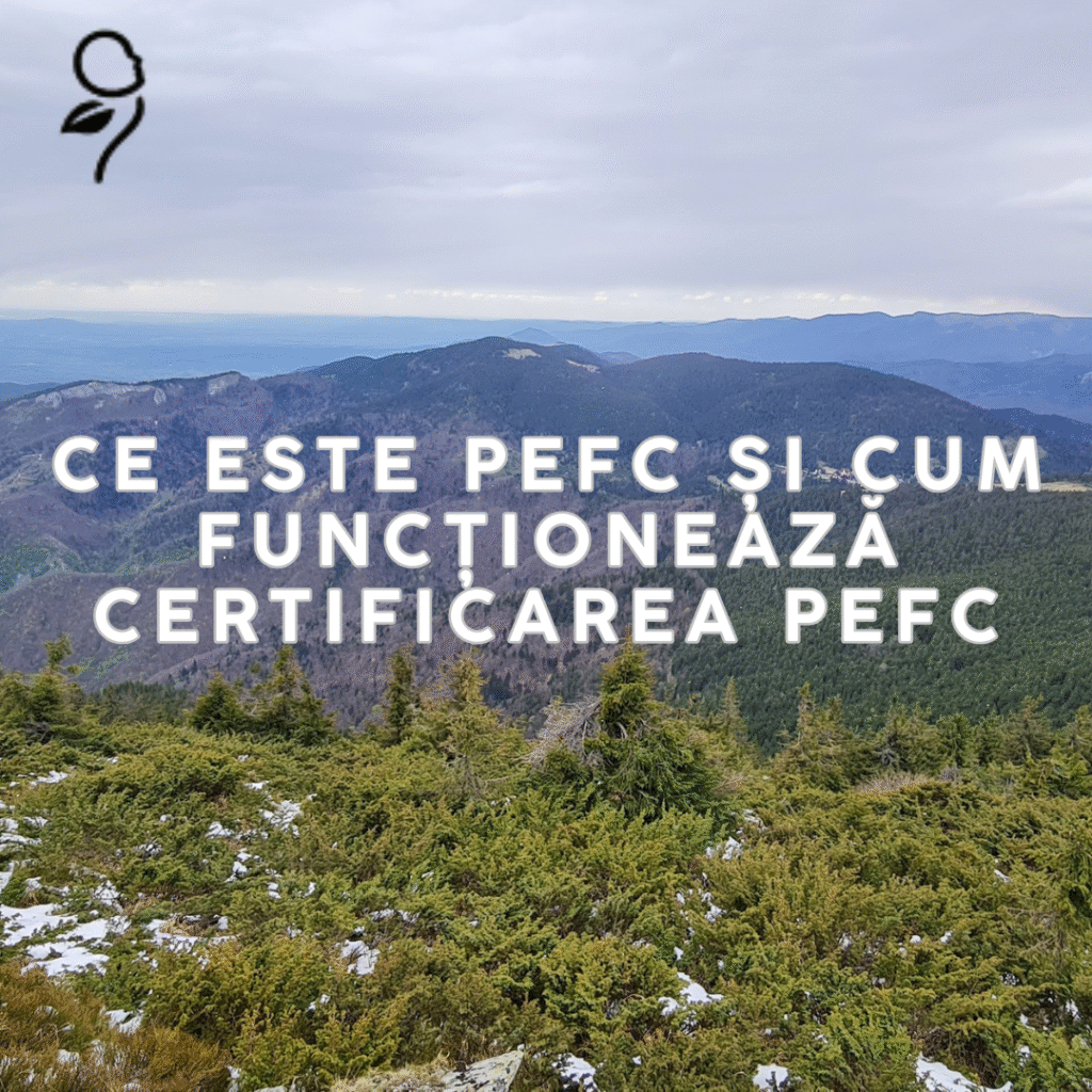 Verificare independentă conform FSC